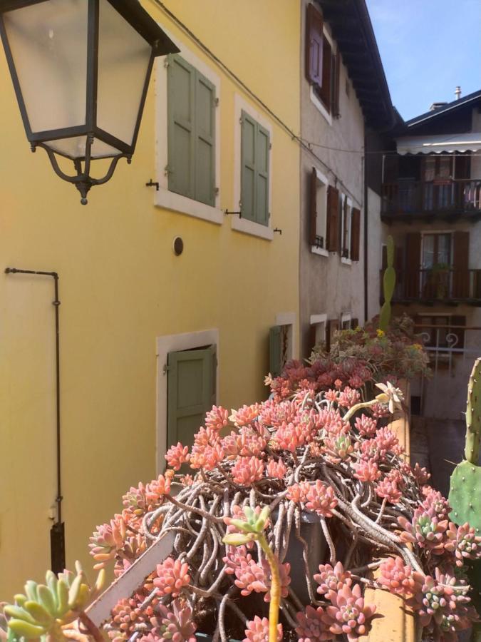 La Tana Dell'artista