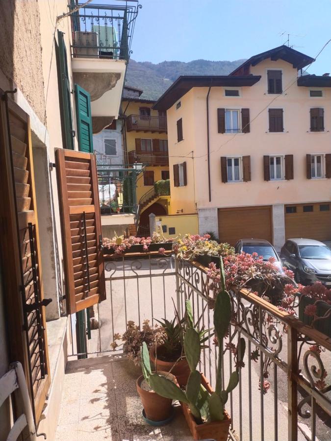 La Tana Dell'artista Gasthof *
